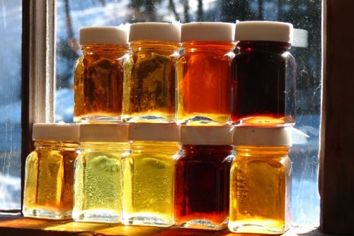 Waiting on Spring, all rights reserved, Nicki Steel, 2013