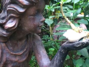 1970951_10152342628658746_1383157807_n-1