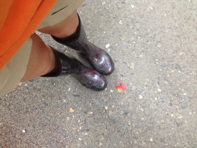 14370074_10154609188503746_2736570246091684847_n